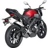 Akrapovic Auspuff Komplettanlage 1-1 OK Titan Für MT-125/YZF R125 RE11